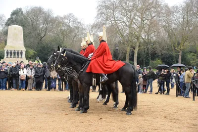 DSC_5598 (Large).JPG